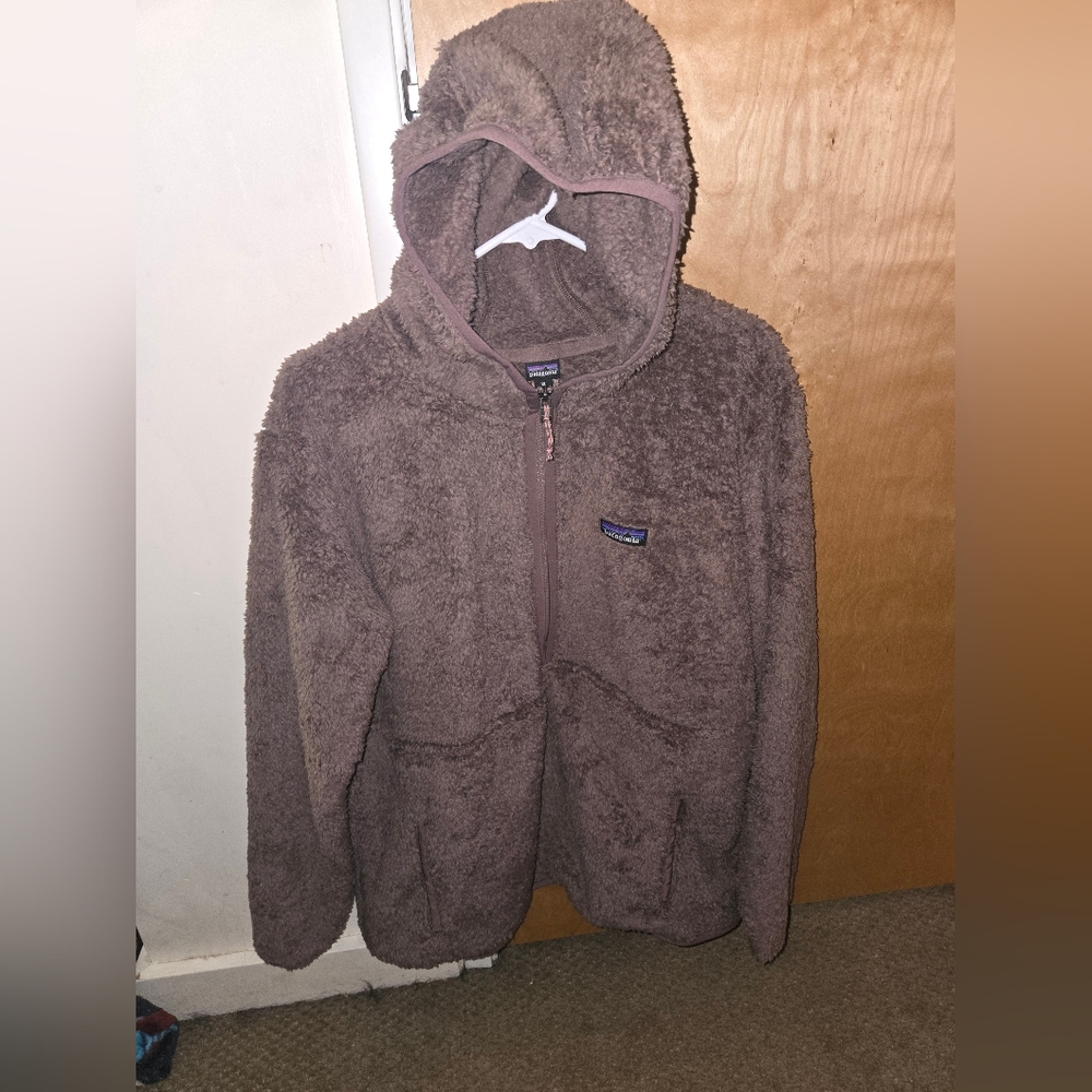 Patagonia hoodie